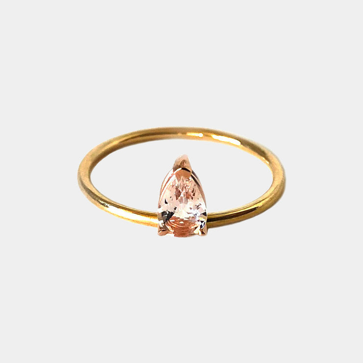 Paree Floating Ring